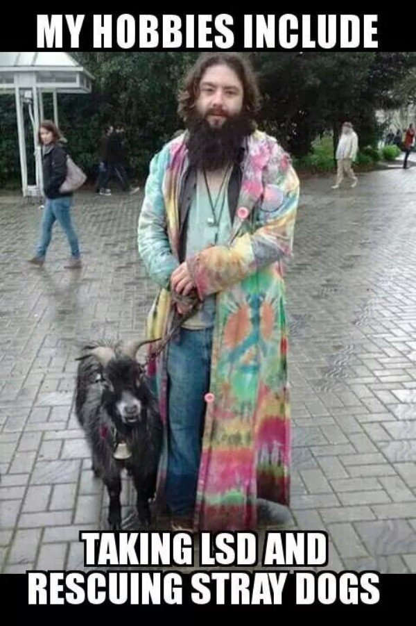 thetwistedbuzz.com/funny/daily-af…