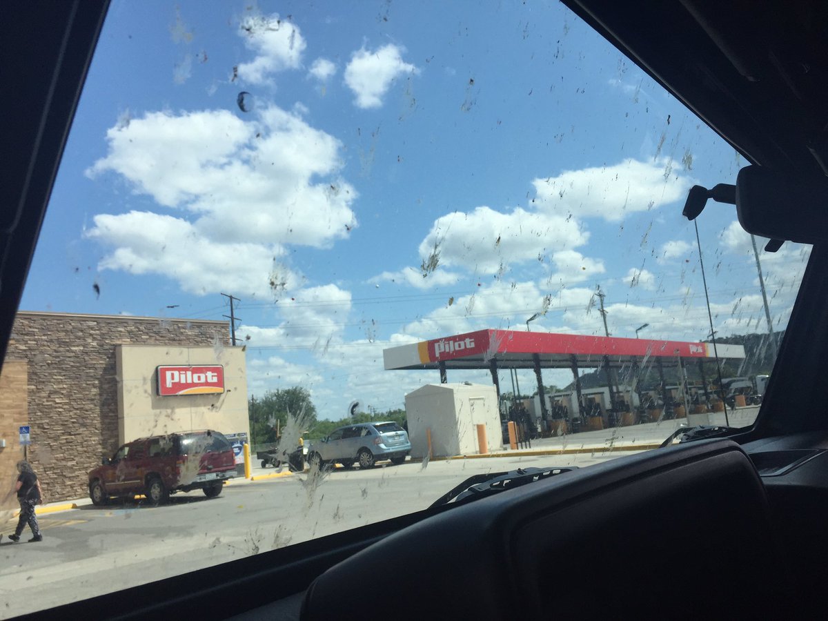 ME_the_MECHE's tweet photo. Countless lives lost driving through Texas. For my #Entomology friends. @osuc_curator https://t.co/0FcVwybTDJ