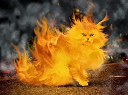 onsabiting's tweet image. 