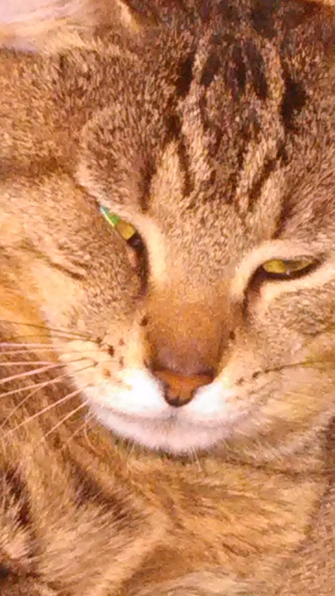 donboywhat's tweet image. 