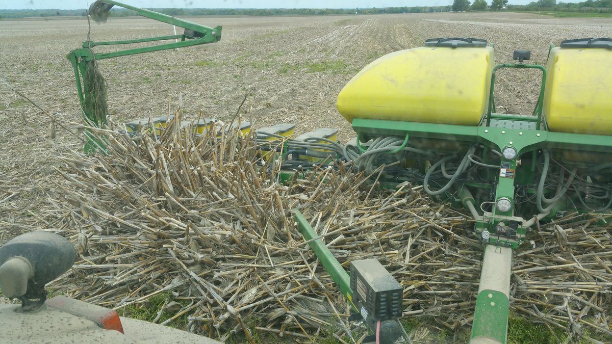 Guess I forgot about mowing off this particular food plot.
#plant16