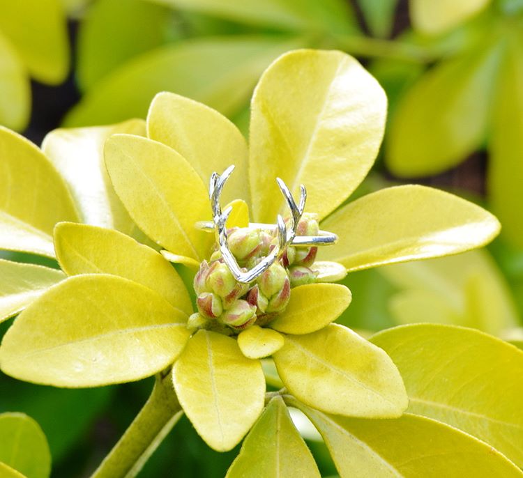 discover_unique's tweet image. We have launced our new look website! Curious? Check it out discover-unique.com

10% off with code: LAUNCH10