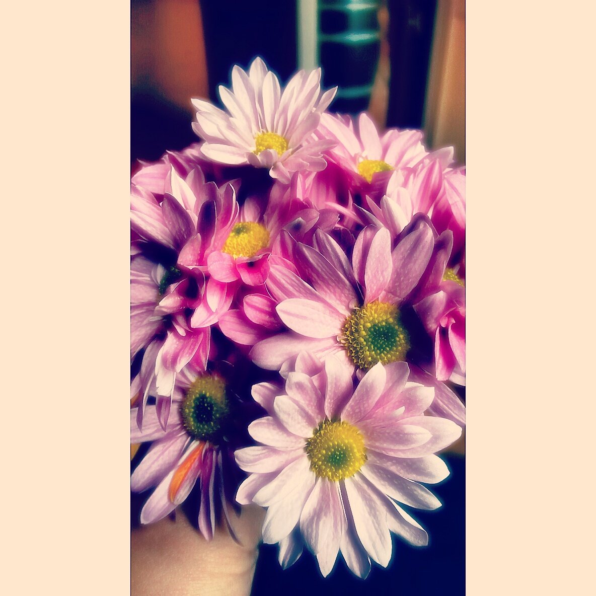 Un poco de luz para un día milagrosamente lluvioso!
#love
#rain
#light
#Breathe