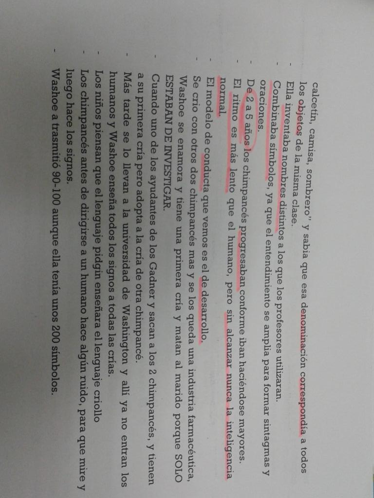 paulaochoto's tweet photo. La trágica historia de Washoe el chimpancé gafe. https://t.co/hzAbIr6A70