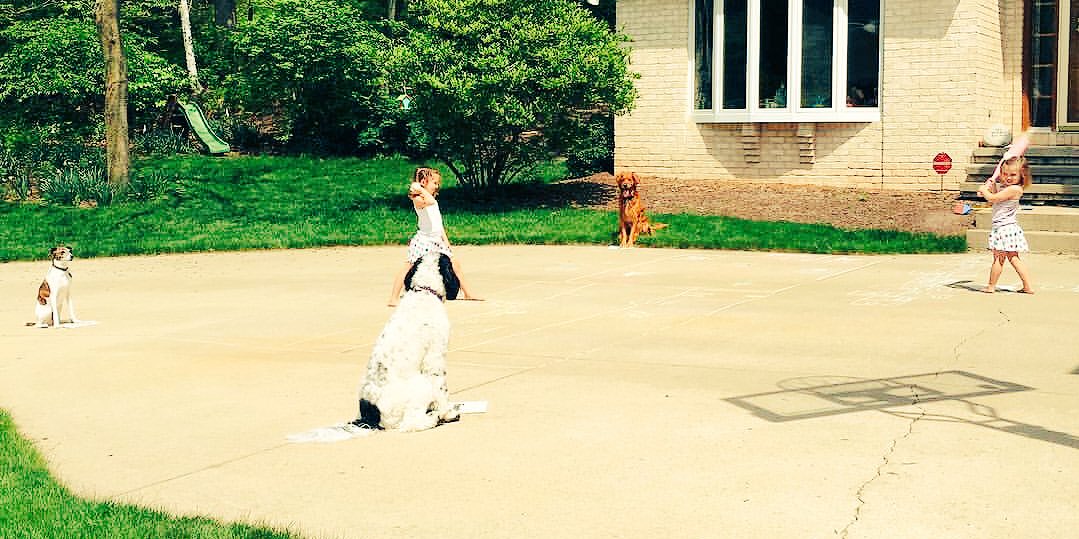 jasonjwilde's tweet image. Our driveway t-ball game has gone to the dogs. #WhosOnFirst #AndSecond #AndThird