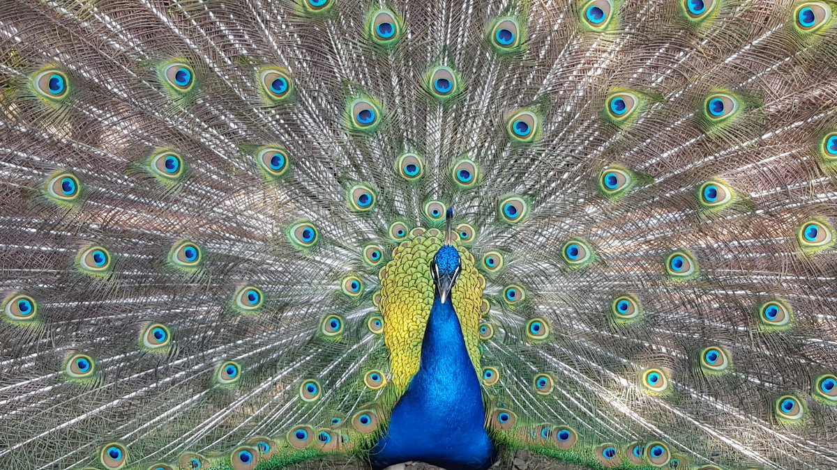 andysoir's tweet photo. Not only tech and art in #Austin, TX https://t.co/VCsH0igir1