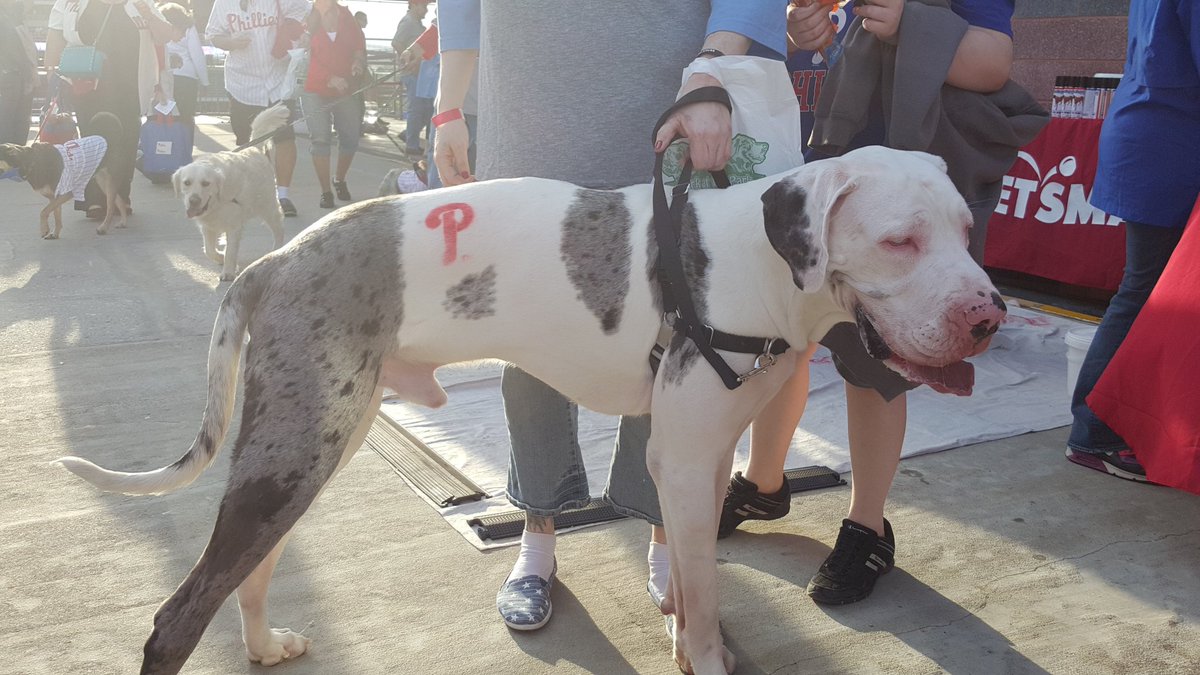 Petsmart1215 tweet media