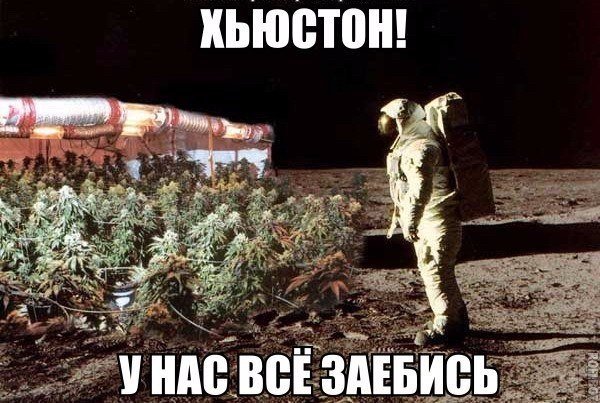 Когда ты живешь за 1500тыс км от родного дома и звонит мама,спросить как дела?)))