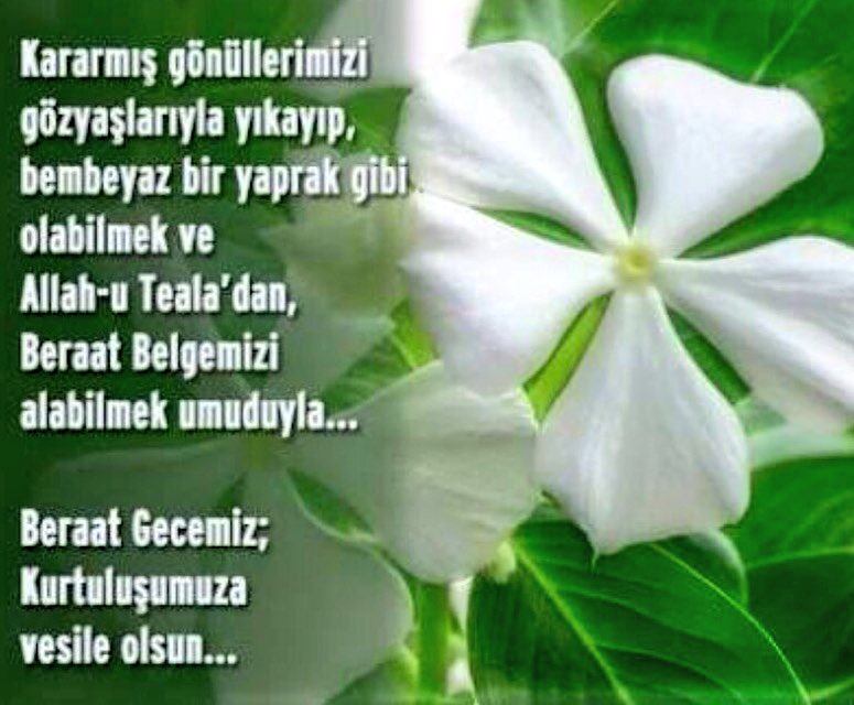 KANDiLiMiZ KUTLU OLSUN