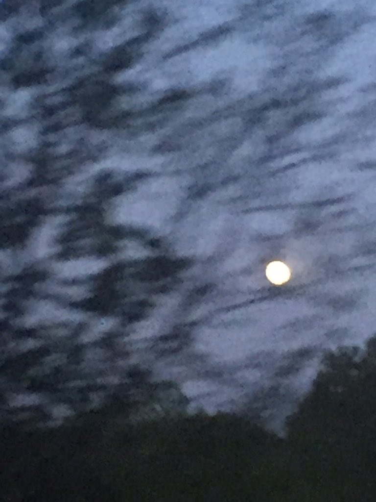 brunning2020's tweet photo. The moon is very big tonight!!! https://t.co/uce3WBLSJ1