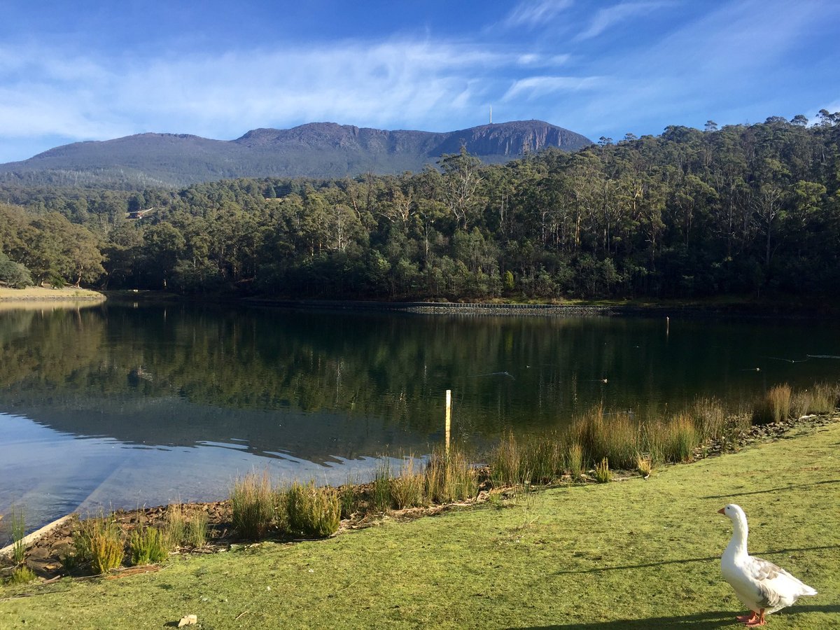 A Saturday stroll #simplystunning