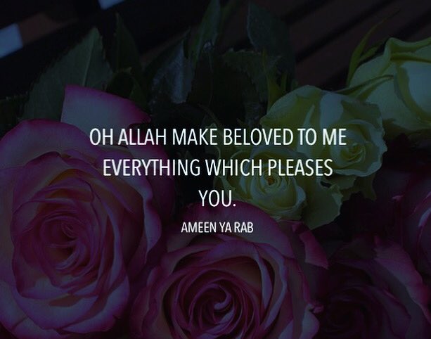 OurAimJannah's tweet photo. #Ameen #deen #deeds #pleasingAllah #Alhamdulillah #ramadan #ramadhan #dhikr #Allah #aameen https://t.co/t5yzLgEmQE