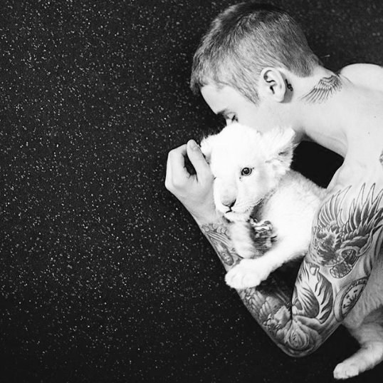 NoviaD_Bieber's tweet photo. Me encanta el amor que siente por los animales 😍 #Justin4MMVA https://t.co/8a1OqUuyyE