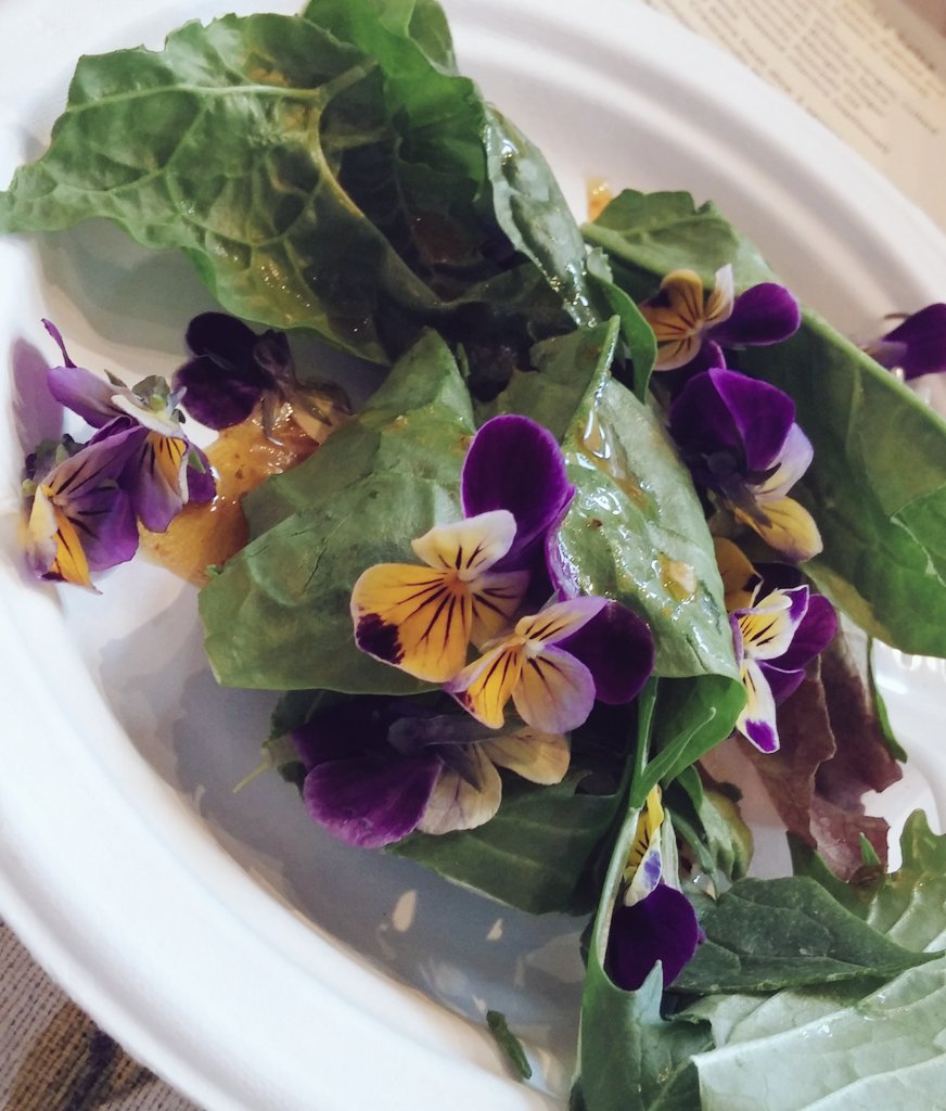 We served up our Samba Salsa dressing w/ <a href="/HappyHeartCSA/">Dennis & Bailey</a> greens tonight. #deliciousfood #CSA #eatlocal #SaladLover