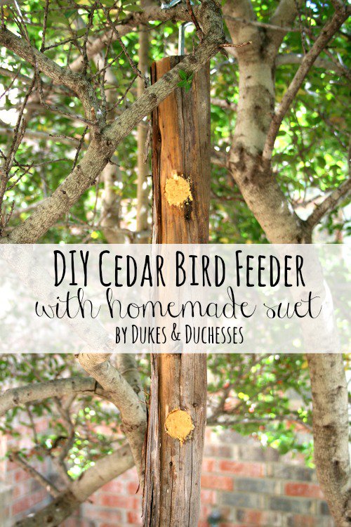 Randi Dukes On Twitter Love Birds Make A Diy Cedar Bird Feeder