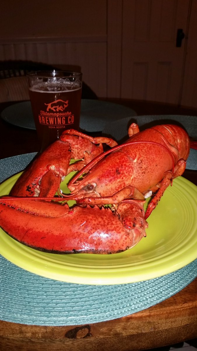 ScothornFarms's tweet photo. #bedlunch https://t.co/m63UofKose