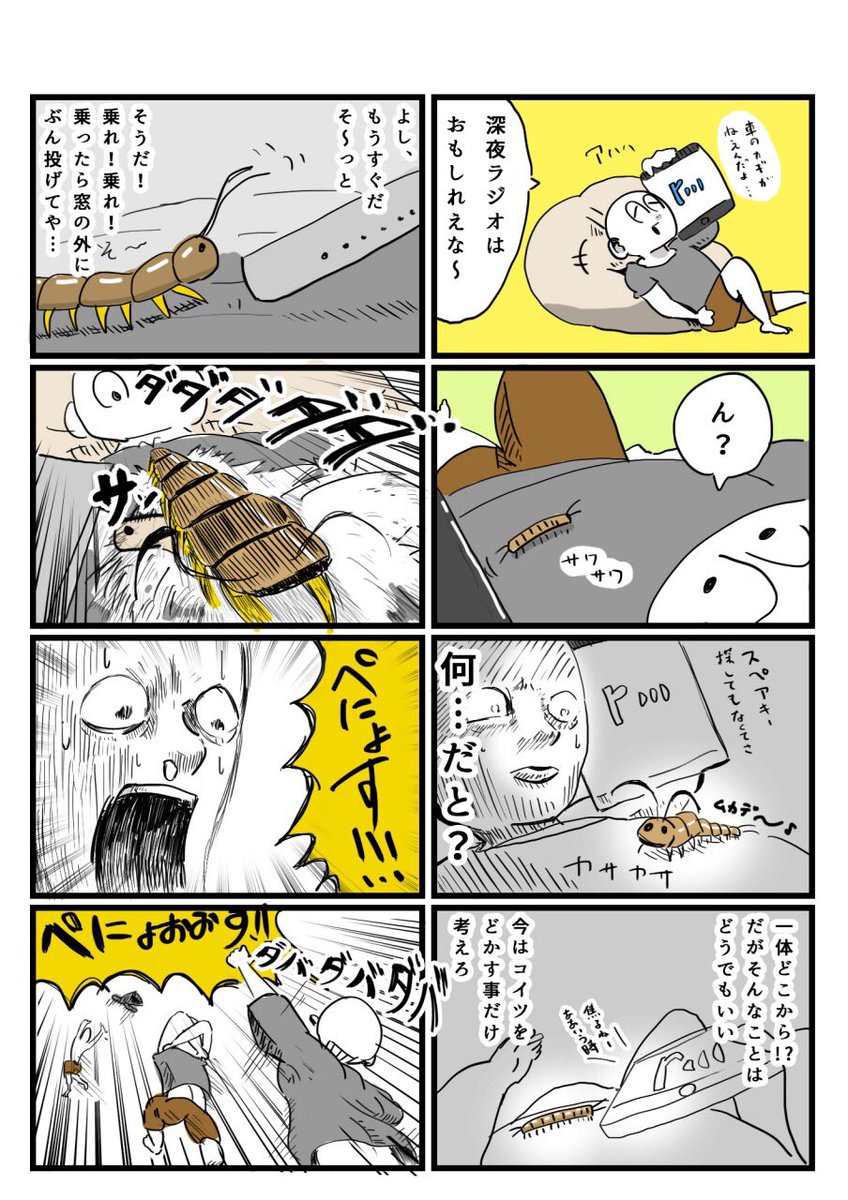 アーノルズはせがわ 昨日の深夜2時に起こった事 T Co Gb25dn3d25 Twitter アーノルズはせがわ 昨日の深夜2時に起こった事 T Co Gb25dn3d25 Twitter