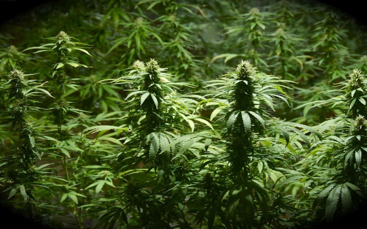 paul (@paulhortn) on Twitter photo 