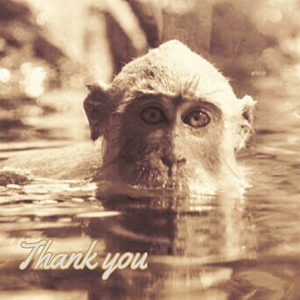 acres_sg's tweet photo. Our charity gala was a success! Thank you for your support! Final amount raised to be announced soon! #ACRESturns15 https://t.co/hsctyon6OZ