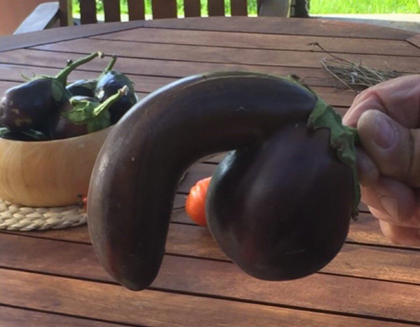 (Yeah yeah I know, eggplant is a fruit.) #thatlookslikeadick.