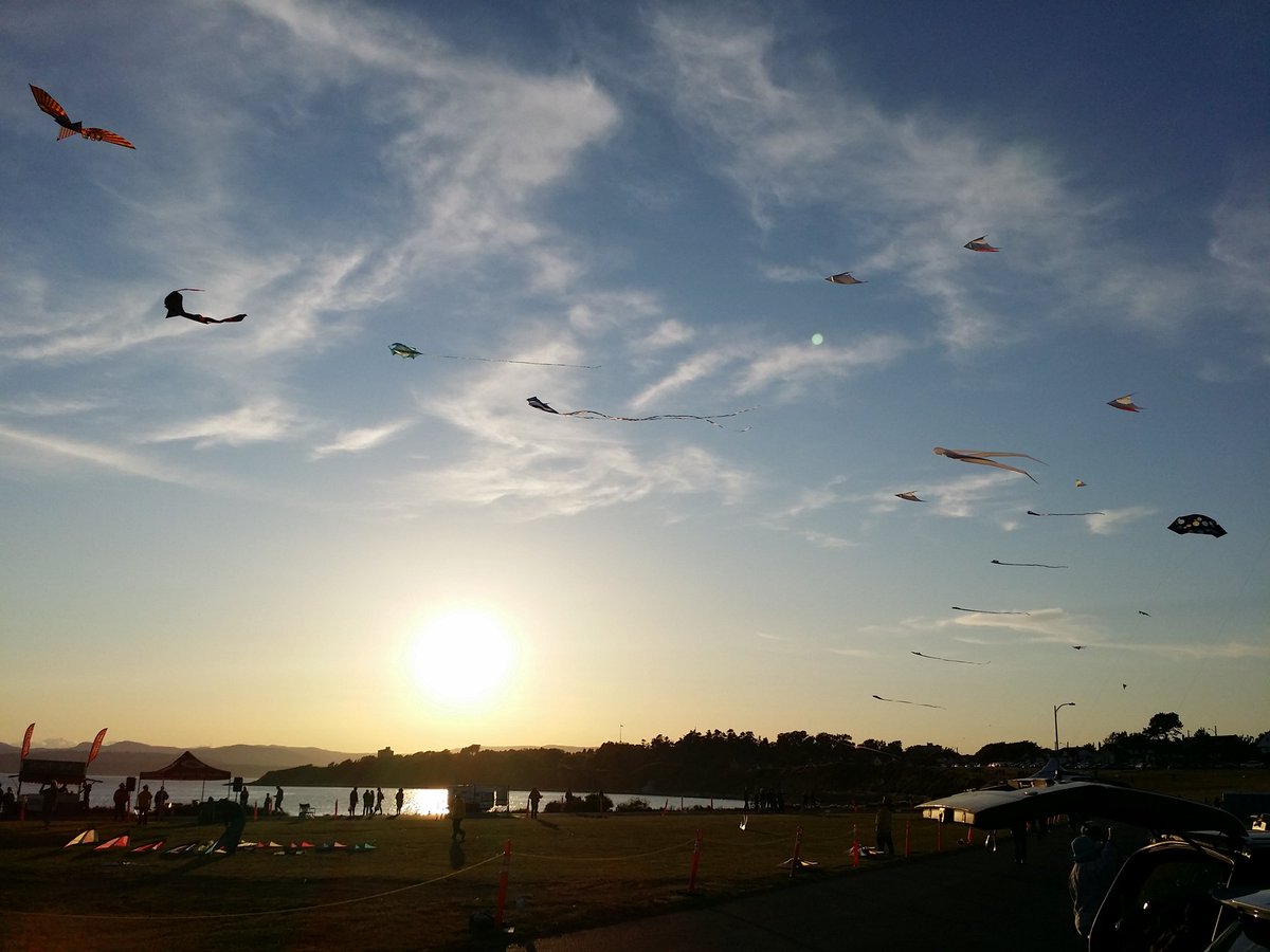 What a view at Clover Point! #yyj
