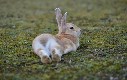 prepipgade's tweet image. 