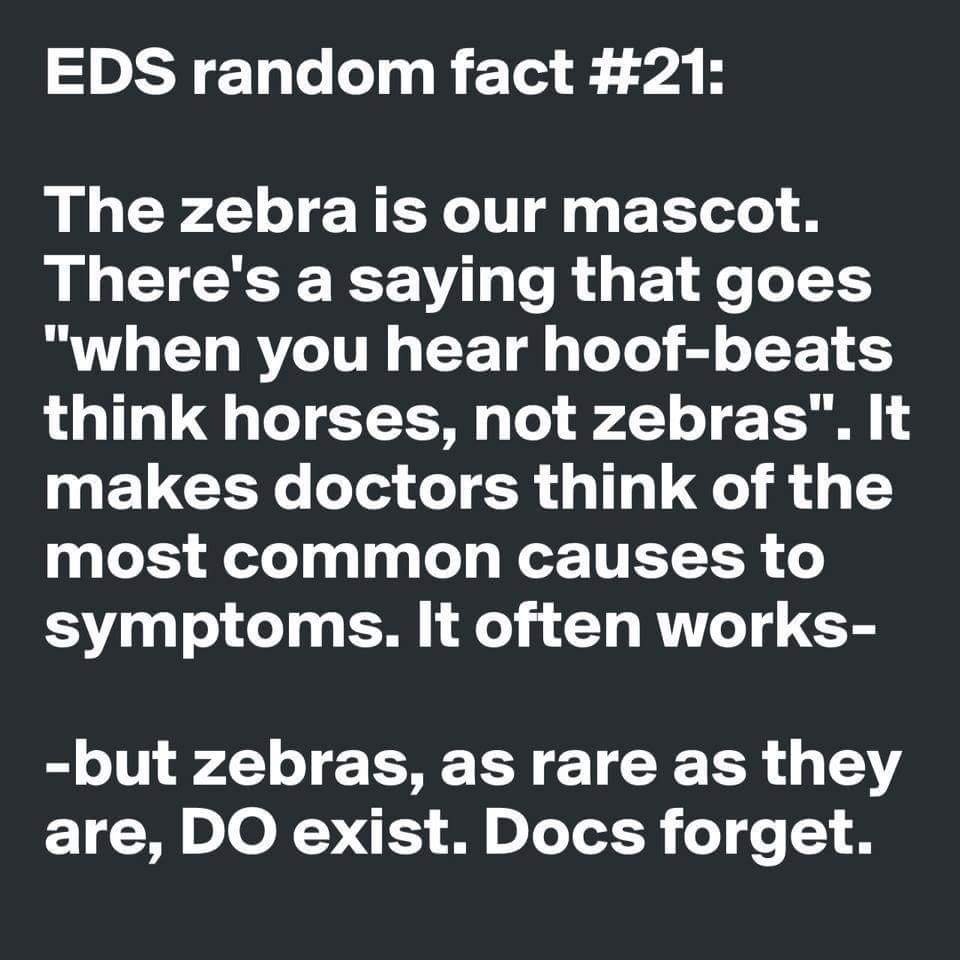 Three-Legged Zebra tweet media