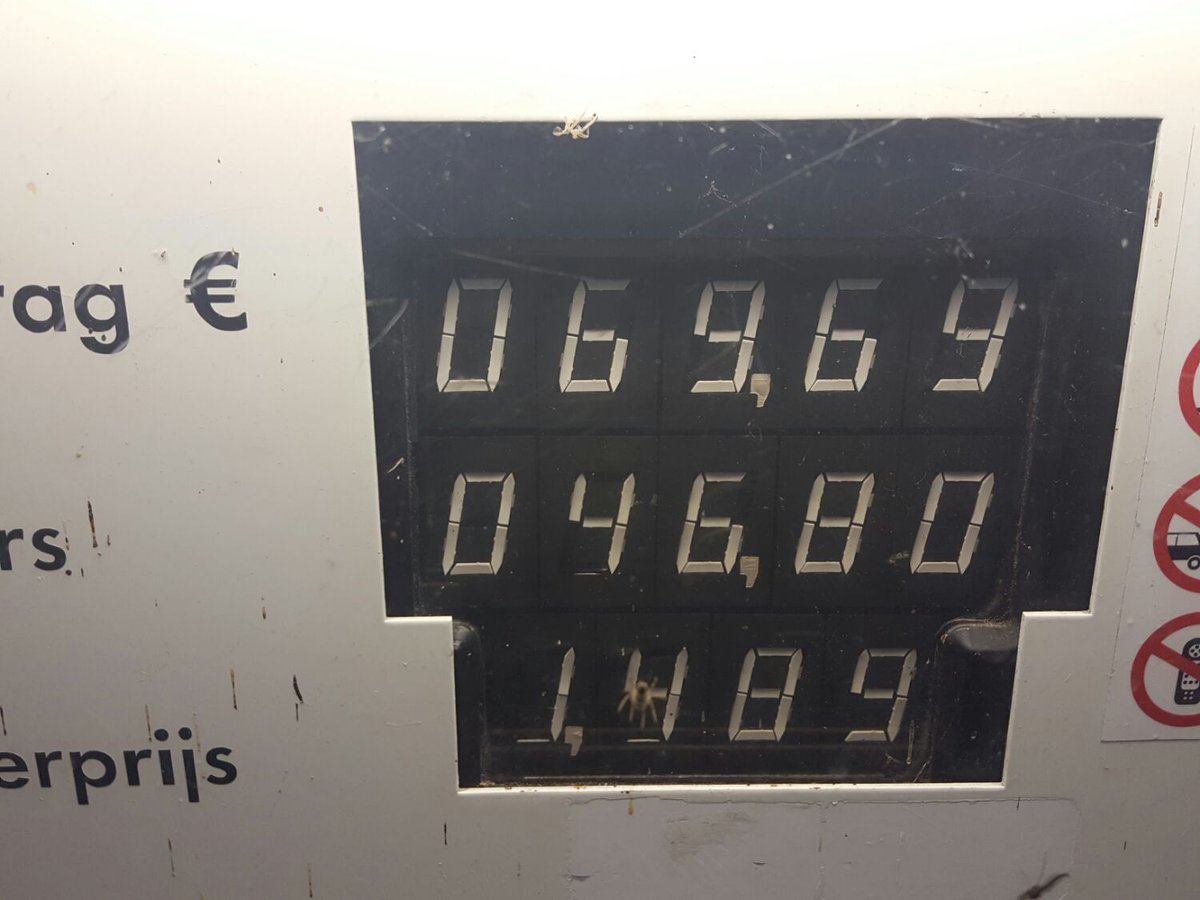 hermandeperman's tweet photo. Jan-Paul gooit z'n tank vol voor een nieuwe dag en slager Daan gaat dingen in mootjes hakken. #3FM #mogguh #grtz https://t.co/GkWkOTmFia