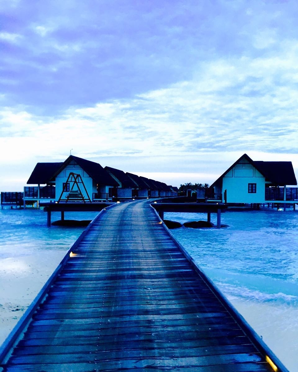 Payaljaindesign's tweet photo. Love of Blue 💙
#traveldiaries #maldives #payaljain #wanderlust #fourseasons #landaa #ocean #blue #paradiseonearth https://t.co/xXvJUic8ux