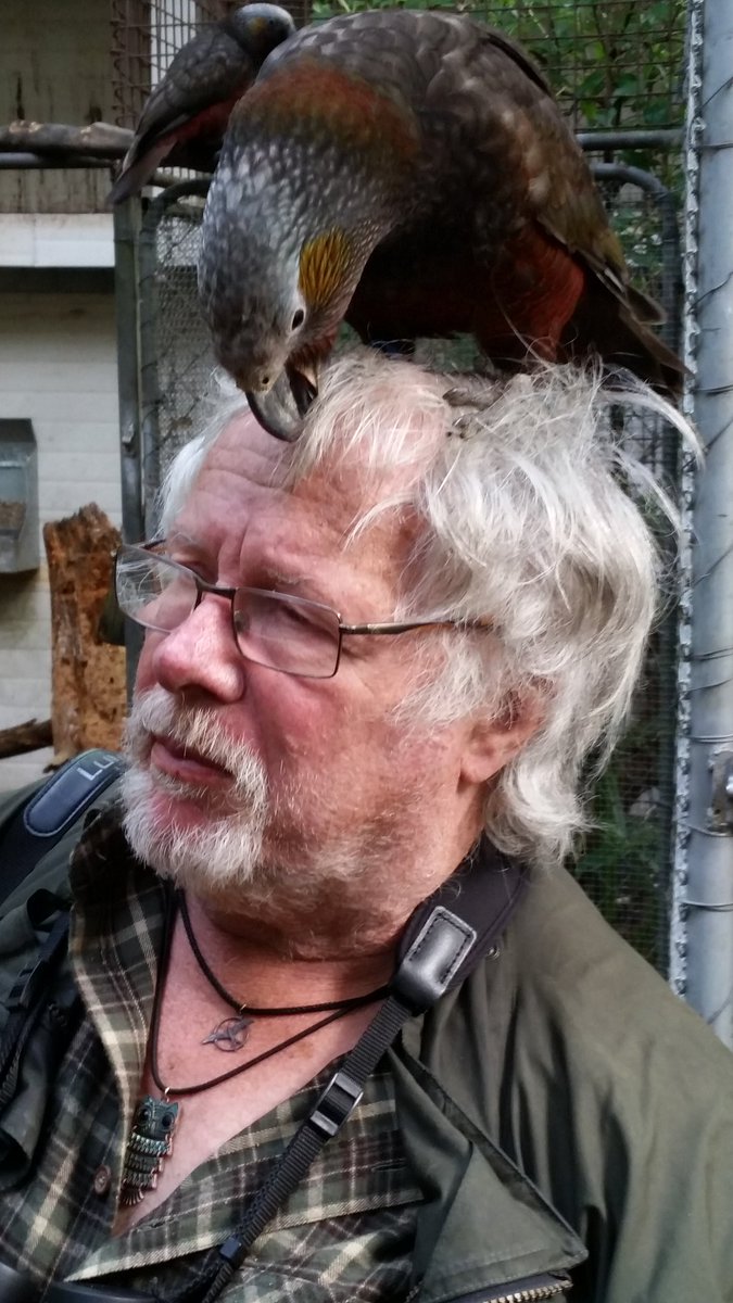royalsocietynz's tweet photo. Bill Oddie meets kaka - our native parrots seem rather attracted to Englishmen as Stephen Fry found out too. https://t.co/QoKINT1do6