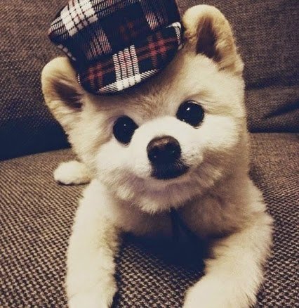 Филипп (@brochdepthirsca) on Twitter photo 