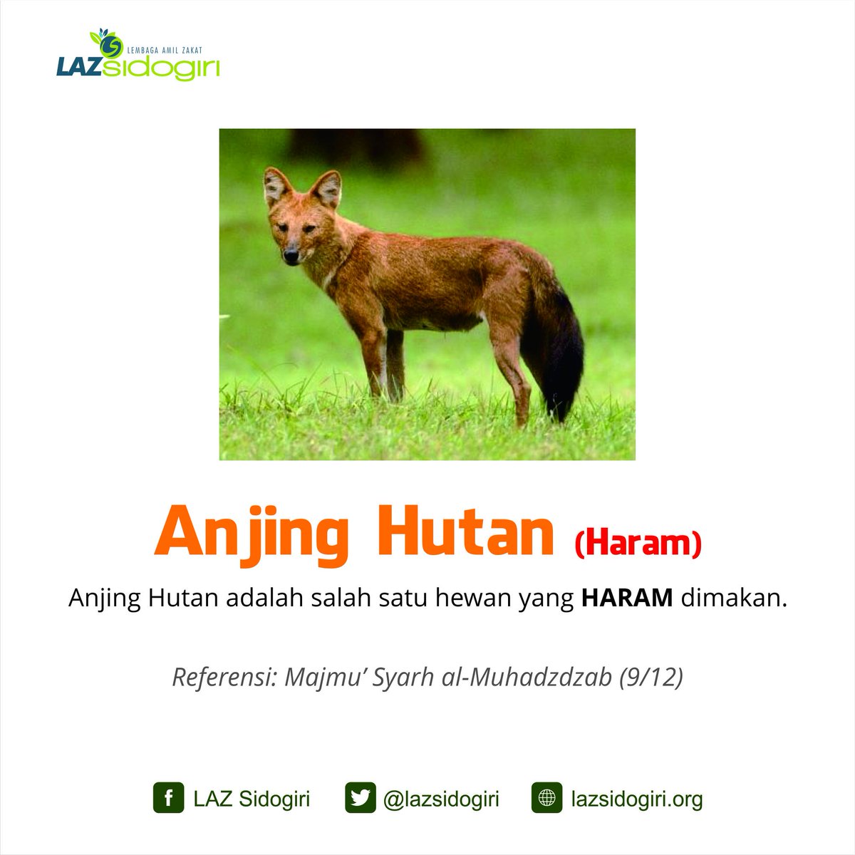 Anjinghutan Hashtag On Twitter