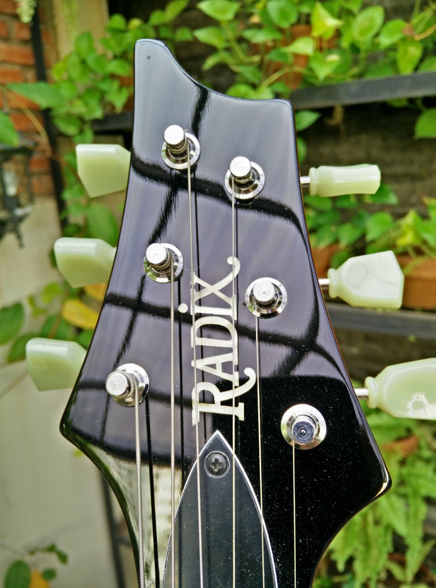 guitarfreaksjkt's tweet image. Hey Freaks, ready now Radix Rig Series check our Gallery now!!
More info : 
BB 5D5C2B7A 
SMS/WA +6281289614063