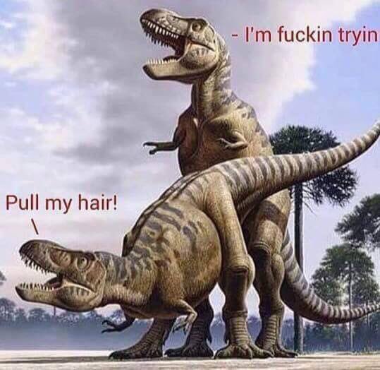 Billofrights9's tweet photo. #Jurassicproblems https://t.co/NLB76iDfez