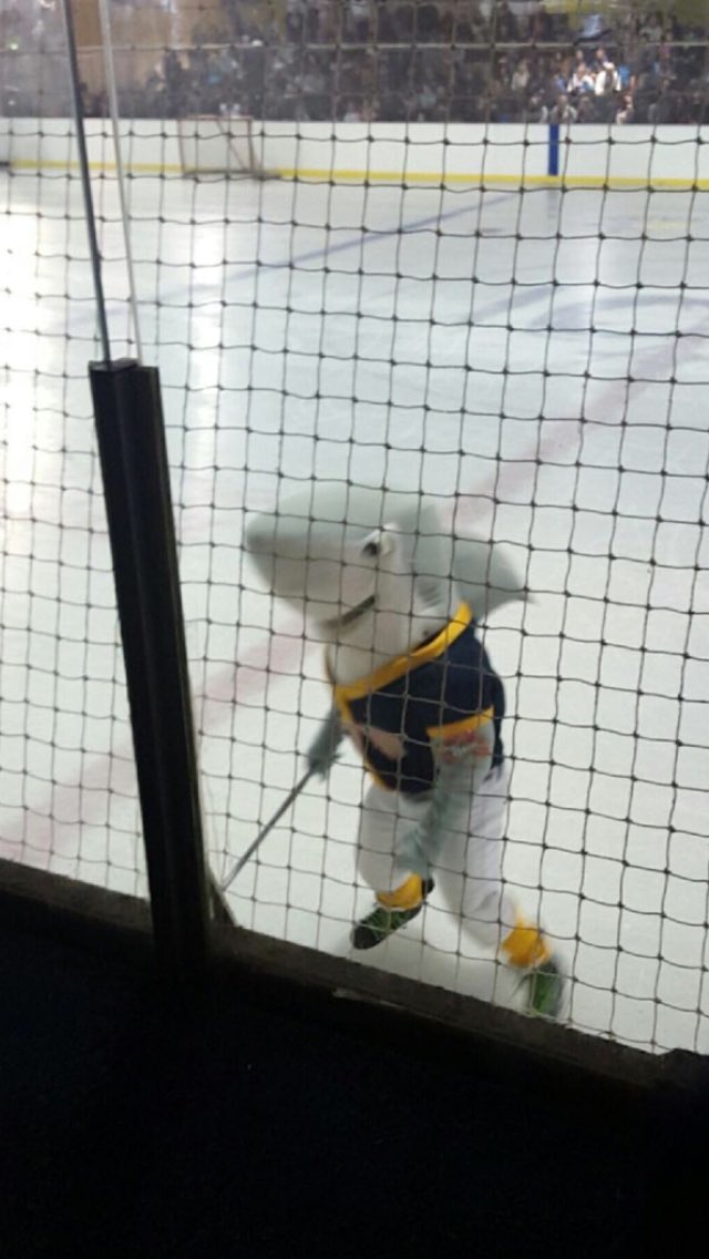 GoGoBenBen's tweet image. Goooooo San Jose Adrenaline! #myadrenaline #ALLin2016 @ADLAdrenaline @AIHL