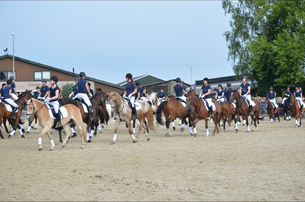 Wereldrecord carrouselrijden voor Manege Groenewoude dlvr.it/LMXLXV