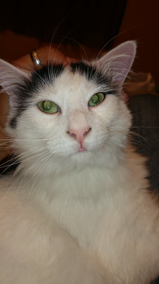 Adrián Martínez M. tweet media