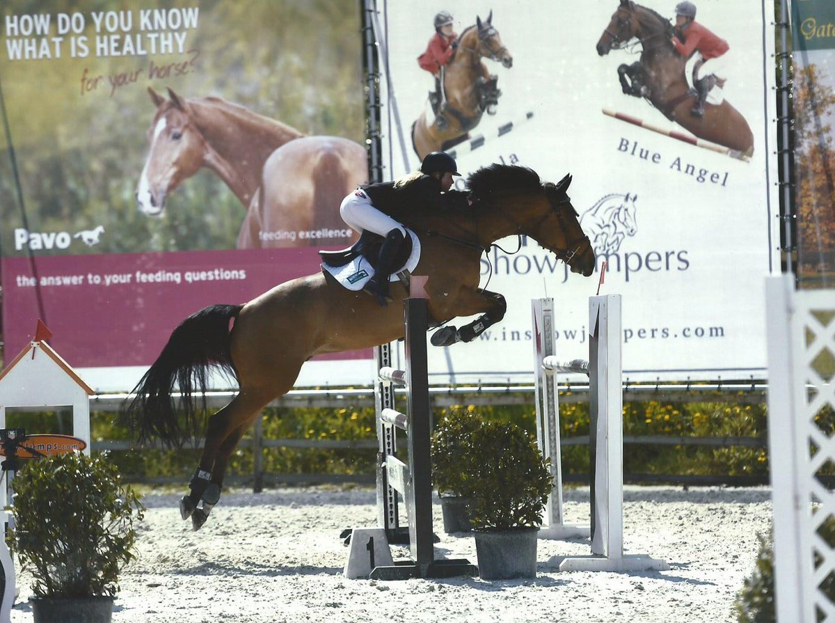 staceyshowjump's tweet photo. My beautiful boy in the Bonheiden 2* 1.35 @SupSolutions @ArtworksAnimal @EquerryFeeds @BritShowjumping #stepuptogold https://t.co/1YMCmVHGfA