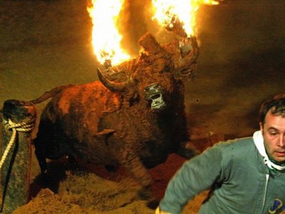 NOTORDESILLAS15's tweet photo. @TPicula Podrška za Pet.2164/14 za ukidanje borbe s bikovima
KULTURNE TRADICIJE? NE, ŽIVOTINJA UBOJSTVO #NO13TFUE https://t.co/qrhqH5DhU0