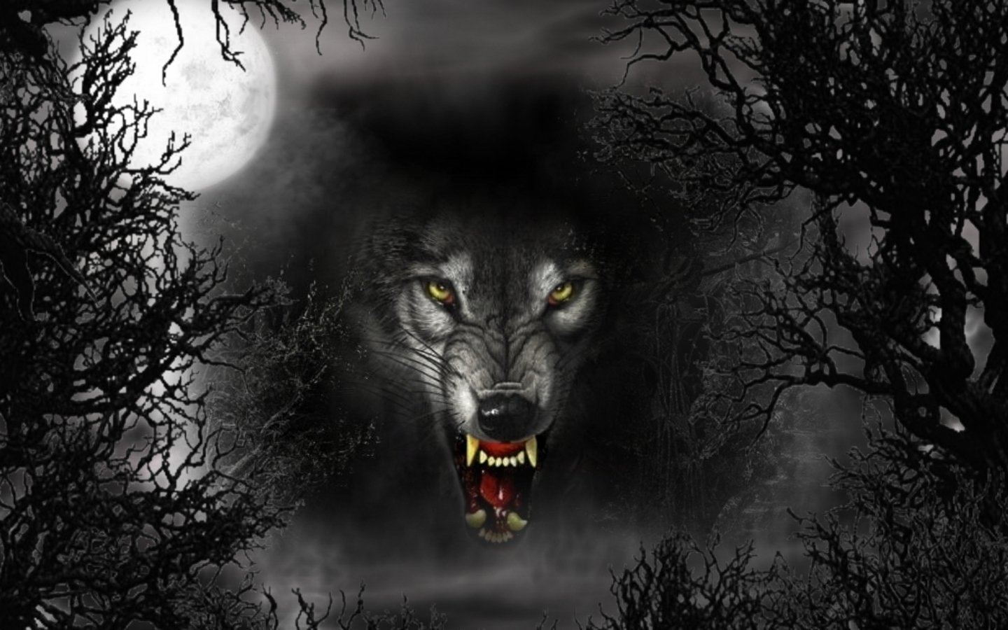 Black Wolf Wallpapers Top Free Black Wolf Backgrounds WallpaperAccess
