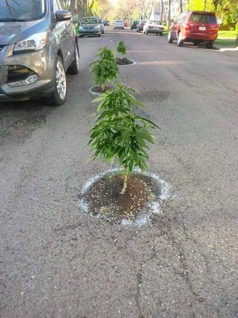 BasnettDavid's tweet photo. Pot holes in the road https://t.co/QQP7GkZZSD
