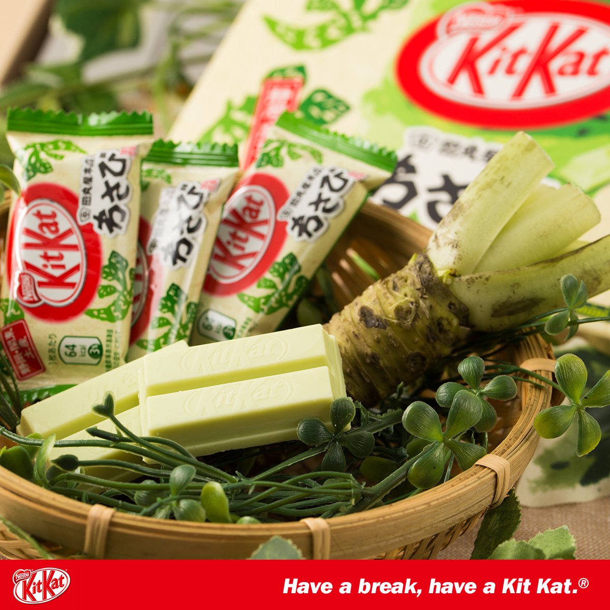KitKat Wasabi (Vị Mù tạt 12 thanh) Can.D Confectionery