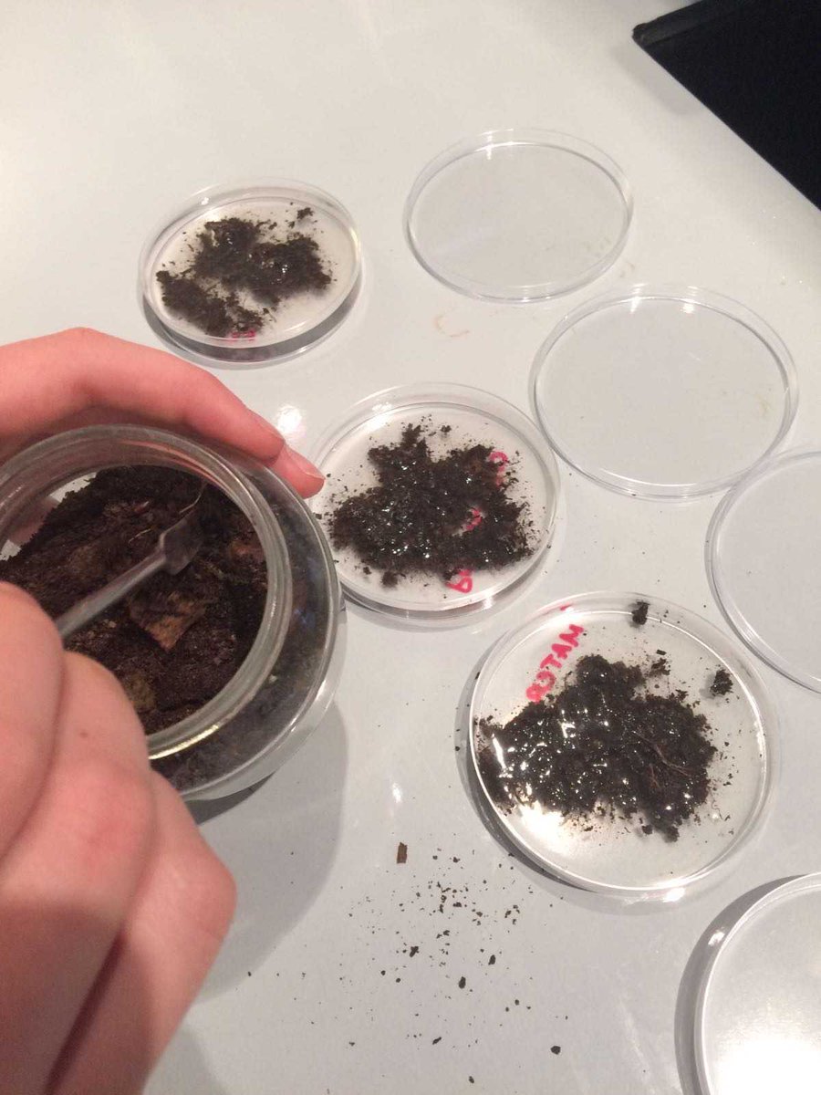 fedecoraglia's tweet photo. We're testing how fast it is to decompose different kinds of plastics and food! #WBT2016 https://t.co/doOSPsp27n