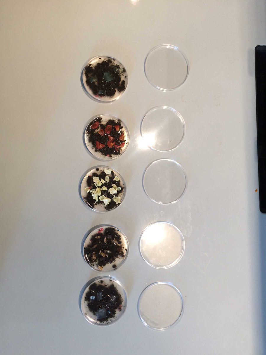 fedecoraglia's tweet photo. We're testing how fast it is to decompose different kinds of plastics and food! #WBT2016 https://t.co/doOSPsp27n