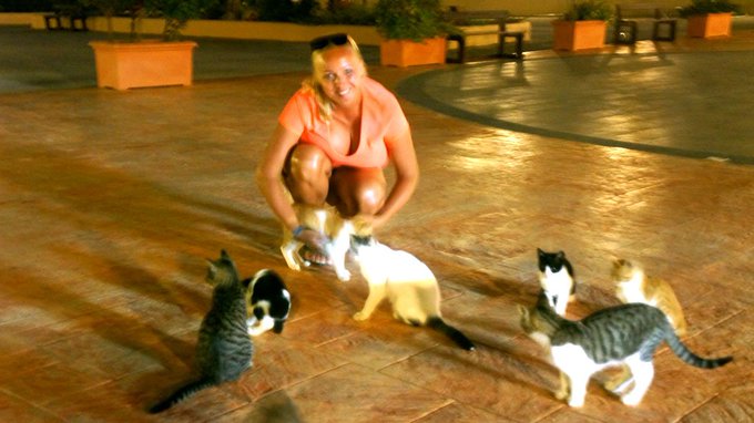 17% of Animals! love the pets too... have a nice week https://t.co/edi2MLXo1a