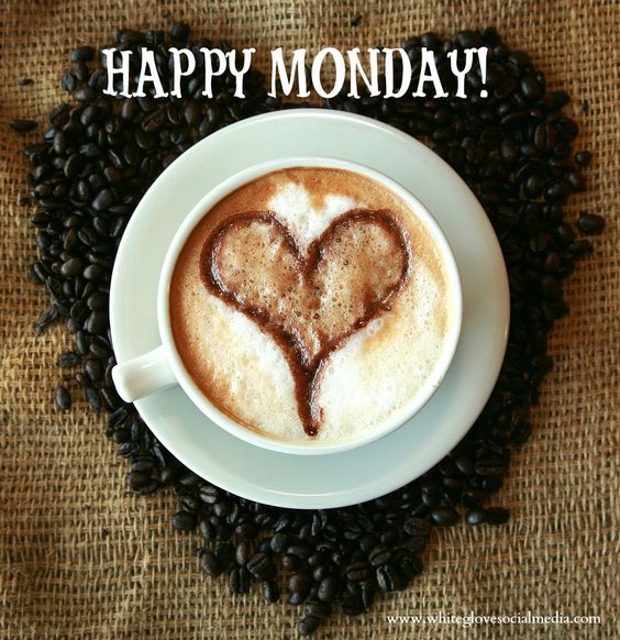 WorkoutSolution's tweet photo. #mondaymorning #staffsupport #employeecounselling #employer #occupationalhealth https://t.co/LfIcijfSdv