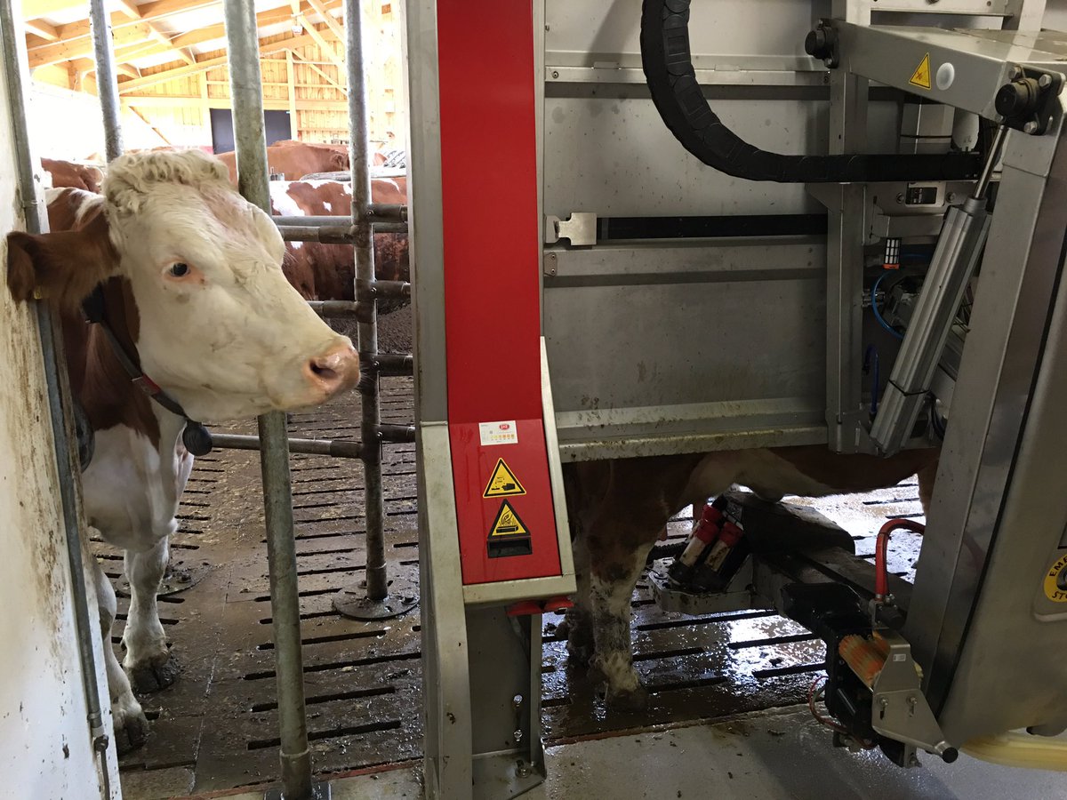 BWBauern's tweet image. Wie funktioniert ein #Melkroboter? Am 20. Mai ist bundesweite Eröffnung des #TdoH16: bwagrar.de/Aktuelles/Bund…