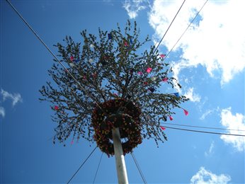 DiscoverTrieste's tweet photo. A Dolina continua fino a domani la festa della #Majenca! https://t.co/swJy2PYkhE #DiscoverTrieste #TriesteSocial https://t.co/vg938AnOEv