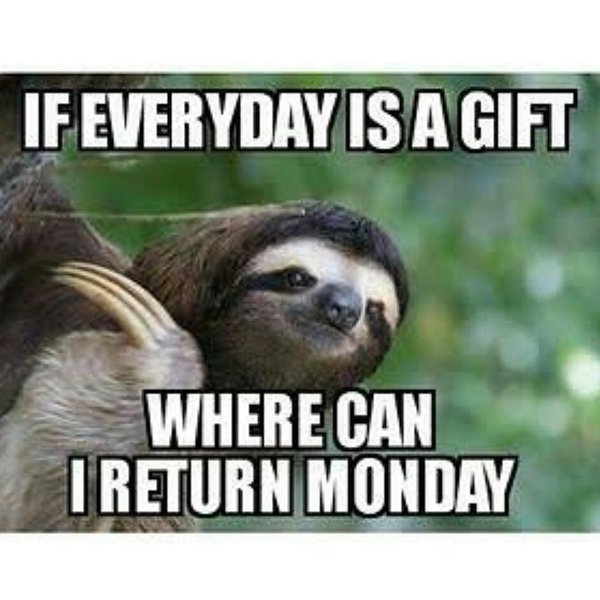 instasloths's tweet photo. Can we cancel Monday and just nap instead? https://t.co/udPMZaoqta #sloths #instasloth #mondaymotivation https://t.co/skiIGbrNhc
