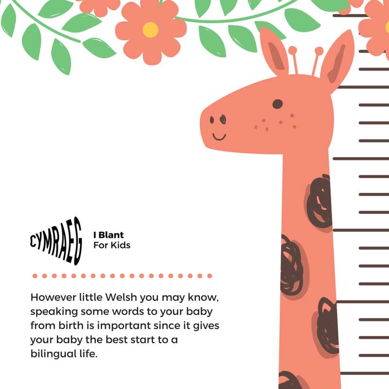 However little Welsh you may know, speaking some words to your baby from birth is important #Cymraeg #Welsh #forkids